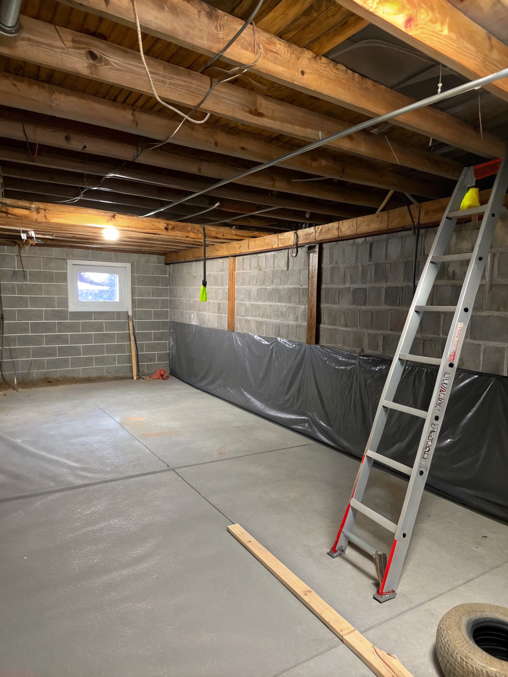 Urbandale Mold Remediation After